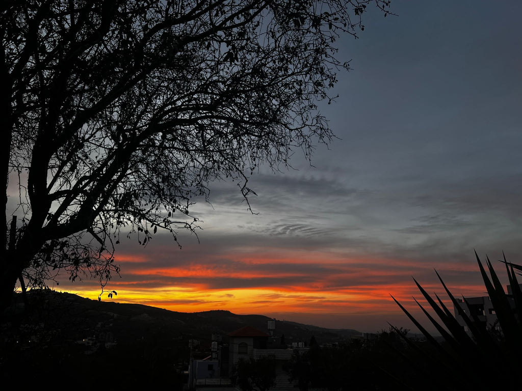 Reflecting on 2025: A Year of Craft, Care, and Collective Purpose