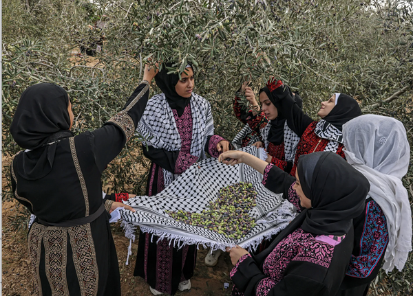 The Root of Palestinian Heritage